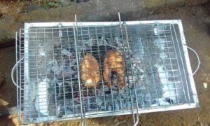 grilled_fish